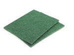 ESTROPAJO fibra verde cortado 15X10cm CARLIMS